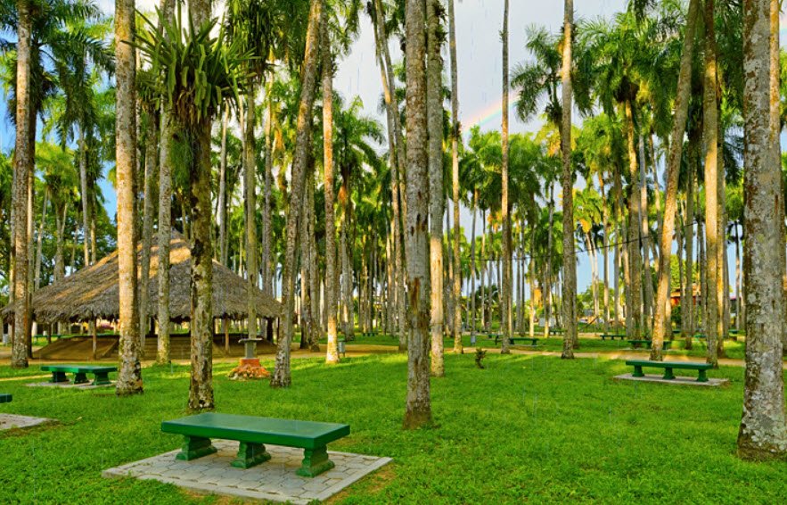 Palmtree Garden, Paramaribo, Suriname